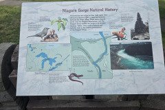 Niagara Gorge details