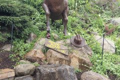 Bully Hill billy goat