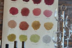 French Color Palate at Domaine Estate Winery